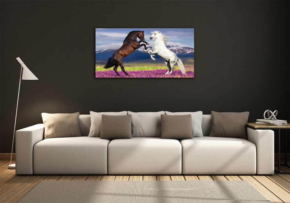 Glass wall art Fighting horses mountains