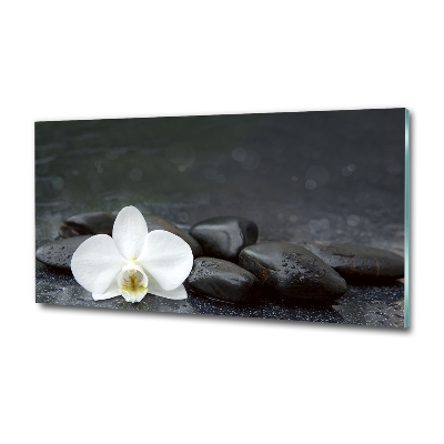 Wall art on glass Orchid