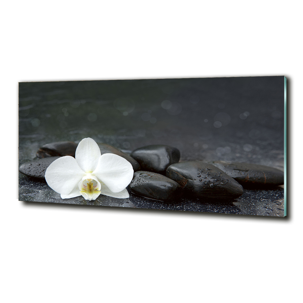 Wall art on glass Orchid