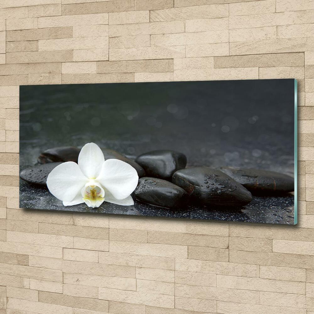 Wall art on glass Orchid