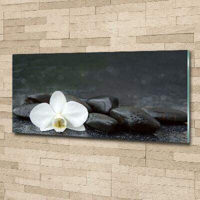 Wall art on glass Orchid