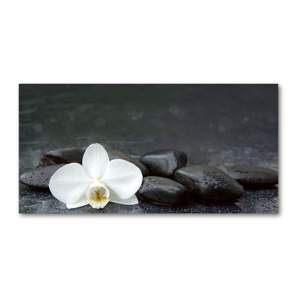 Wall art on glass Orchid