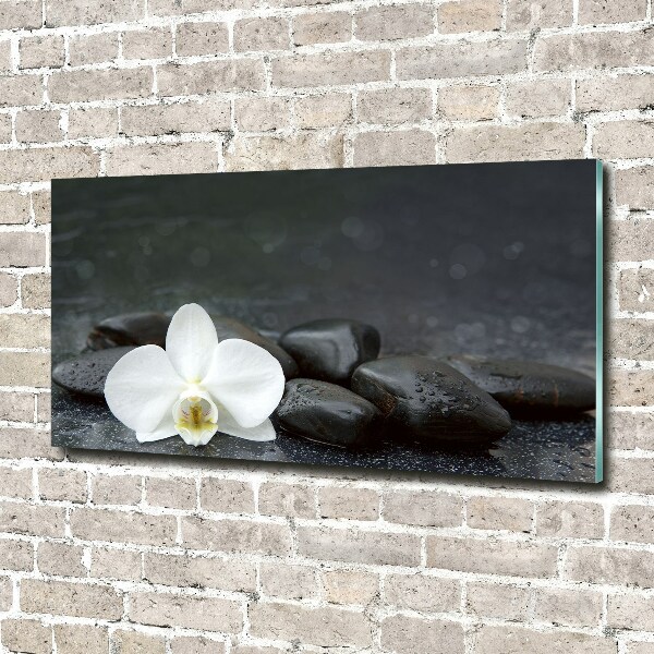 Wall art on glass Orchid