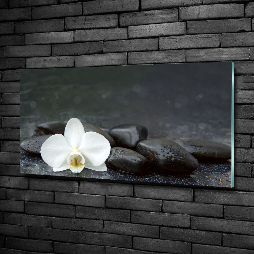 Wall art on glass Orchid