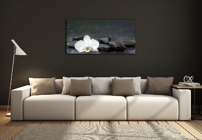 Wall art on glass Orchid