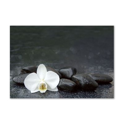 Wall art on glass Orchid