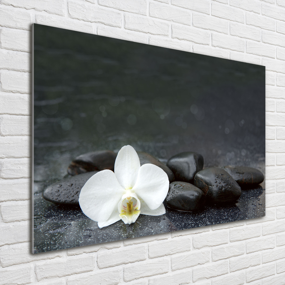 Wall art on glass Orchid