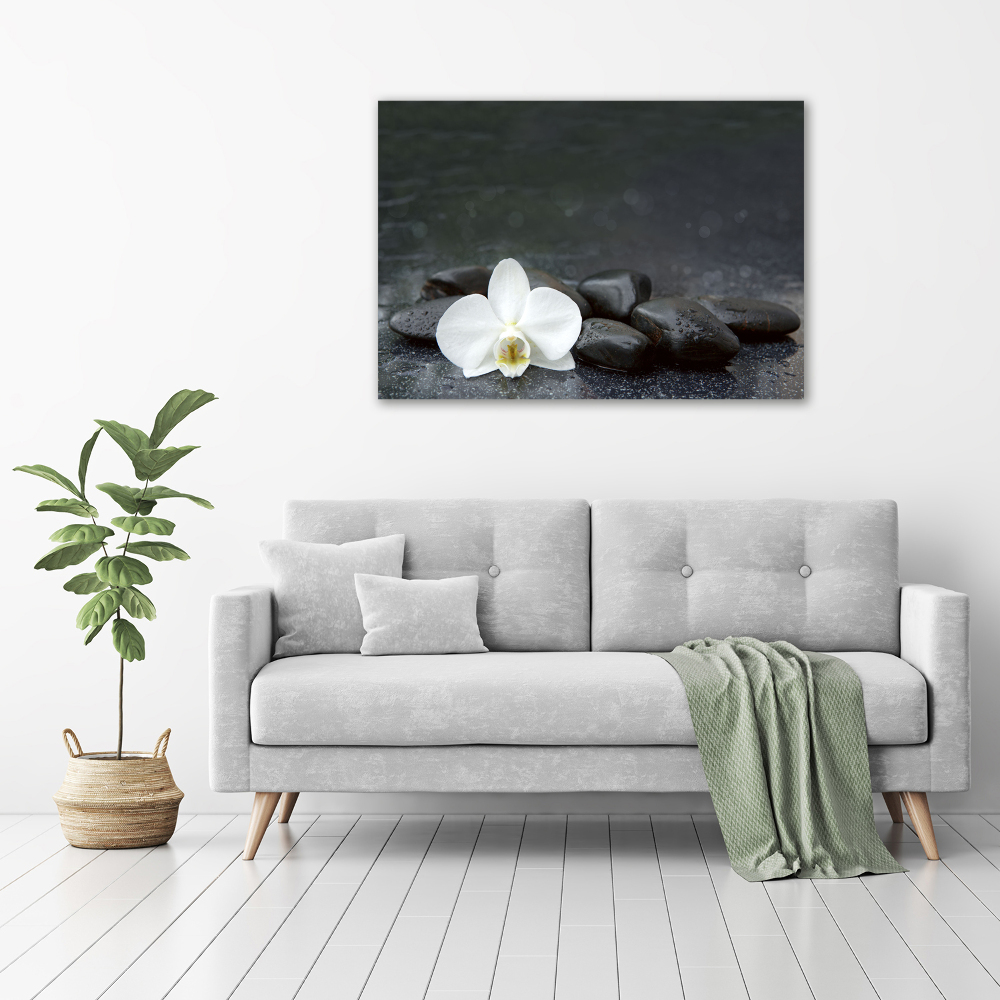 Wall art on glass Orchid