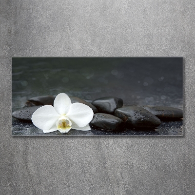 Wall art on glass Orchid