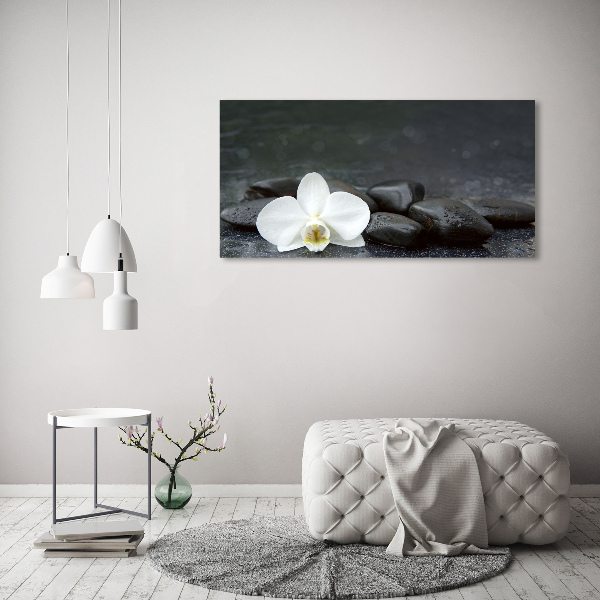 Wall art on glass Orchid