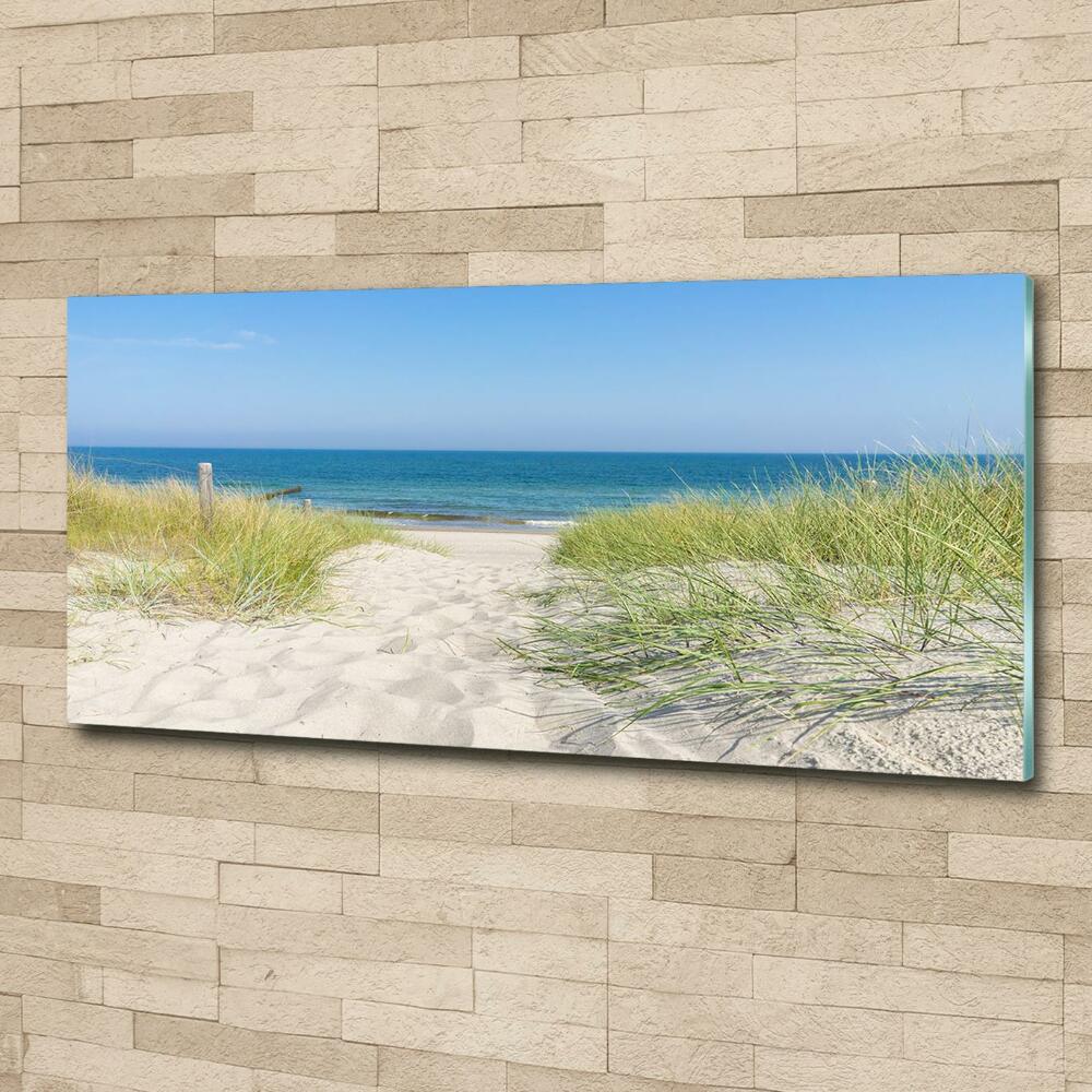 Glass wall art large Coastal dunes