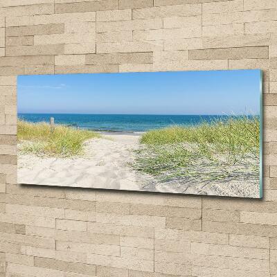 Glass wall art large Coastal dunes