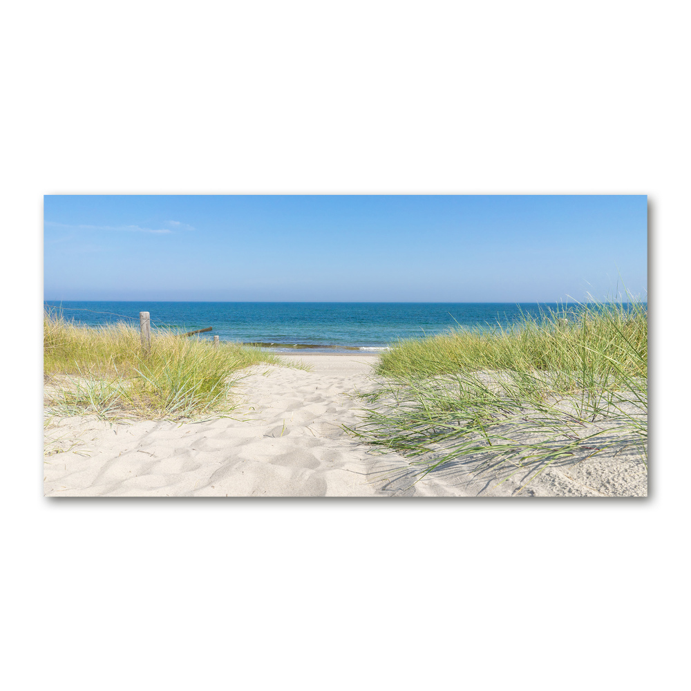 Glass wall art large Coastal dunes