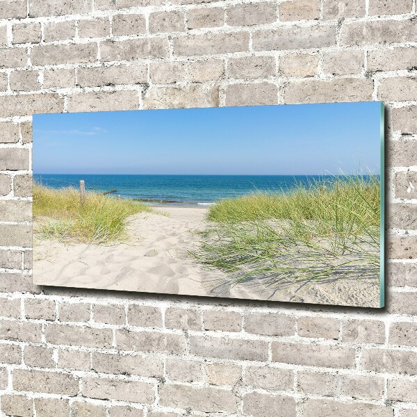 Glass wall art large Coastal dunes