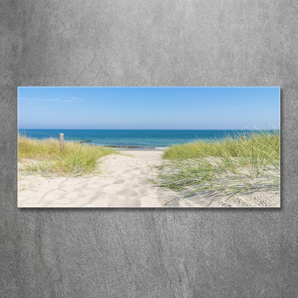 Glass wall art large Coastal dunes