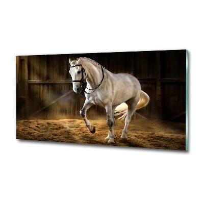 Wall art on glass White horse in the stable