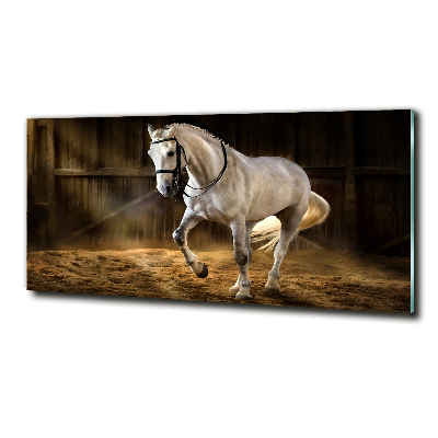 Wall art on glass White horse in the stable