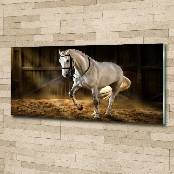 Wall art on glass White horse in the stable