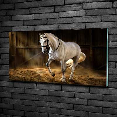 Wall art on glass White horse in the stable