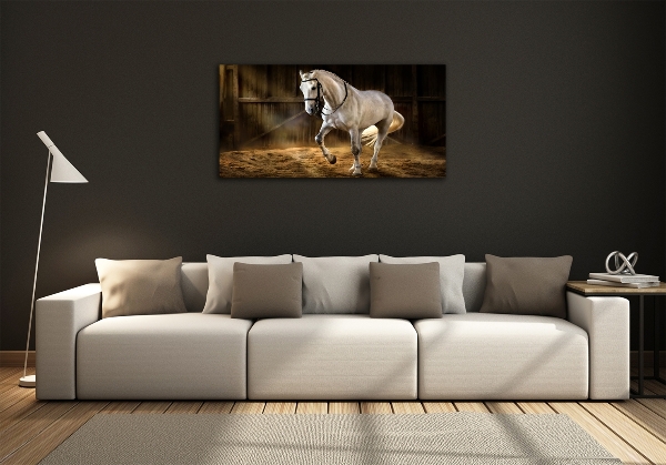 Wall art on glass White horse in the stable