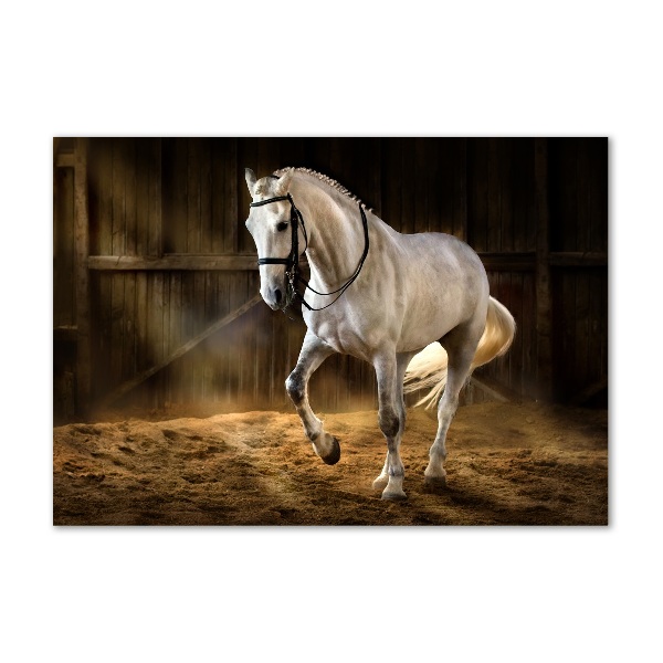 Wall art on glass White horse in the stable