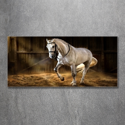 Wall art on glass White horse in the stable