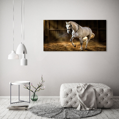 Wall art on glass White horse in the stable