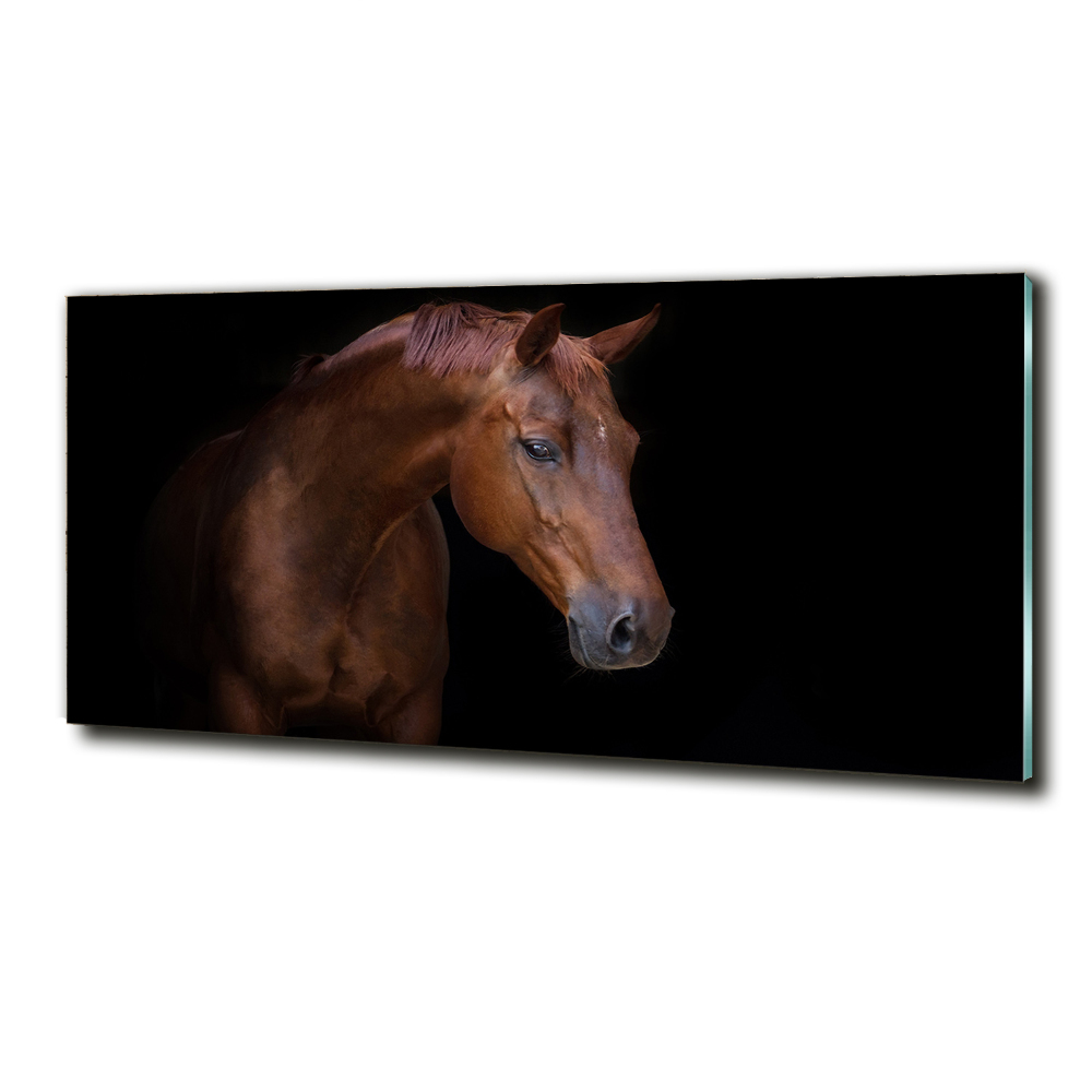 Wall art on glass Brown horse