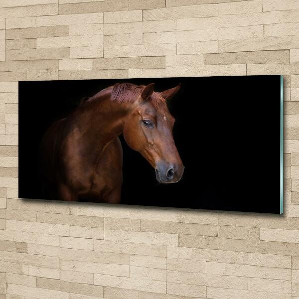 Wall art on glass Brown horse