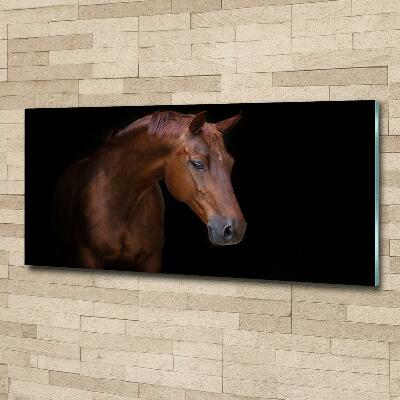 Wall art on glass Brown horse