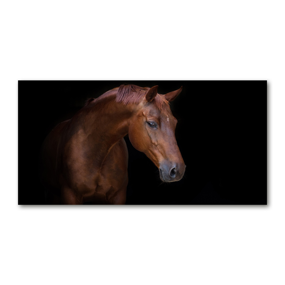 Wall art on glass Brown horse