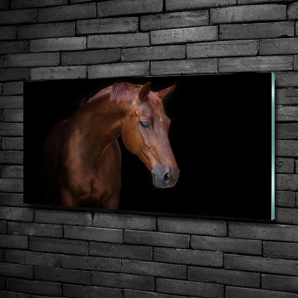 Wall art on glass Brown horse