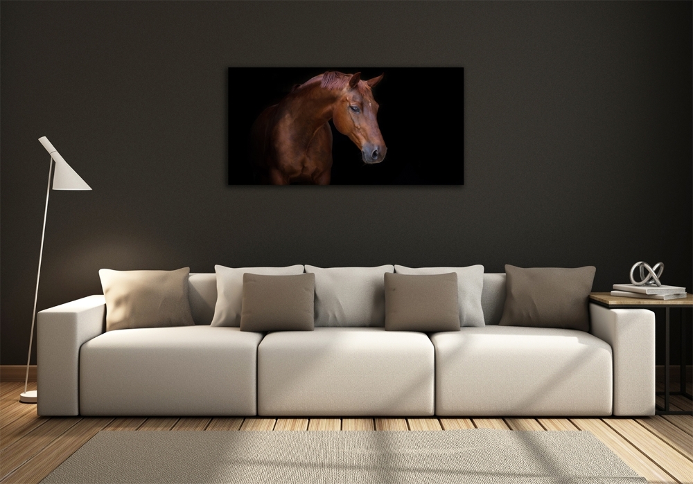 Wall art on glass Brown horse