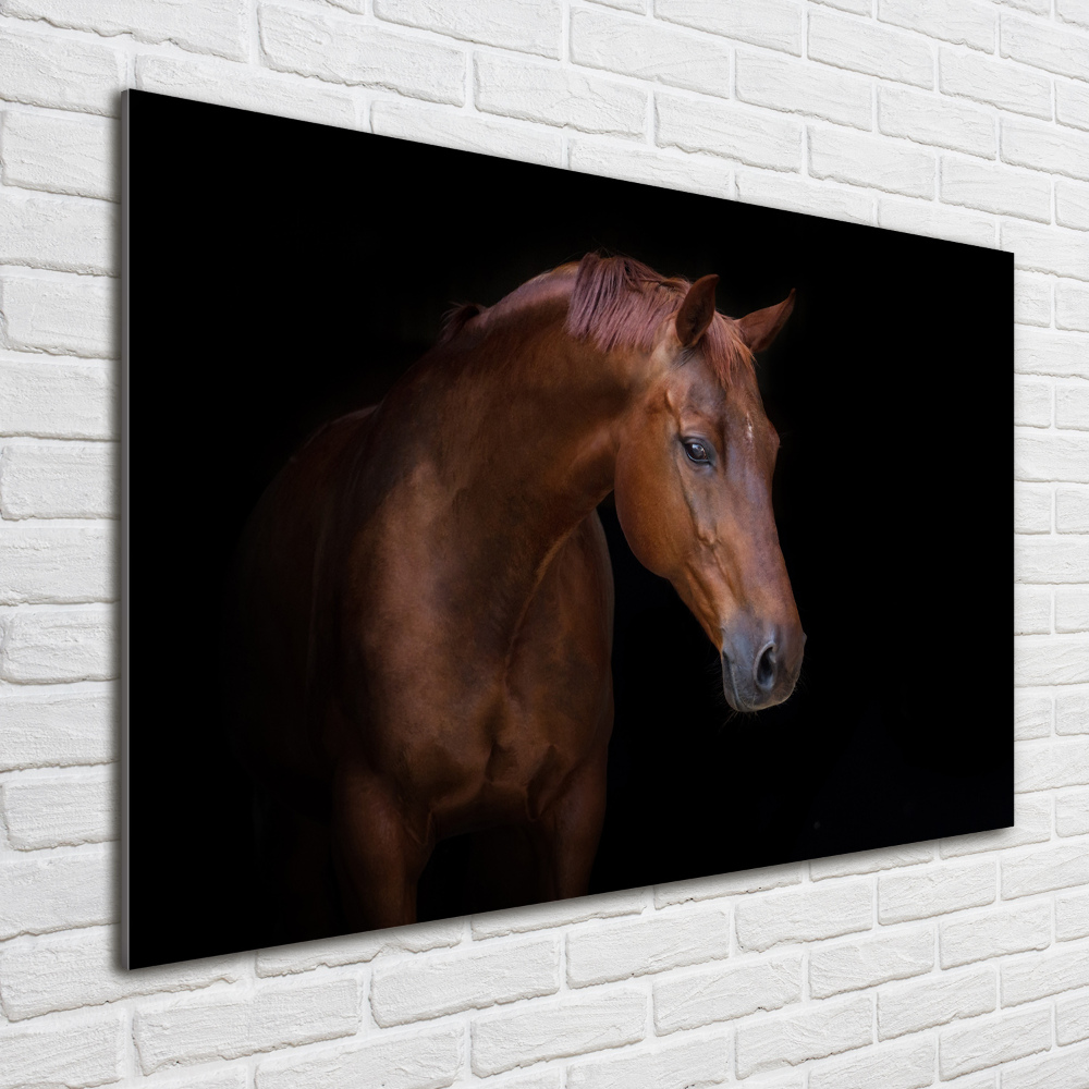 Wall art on glass Brown horse