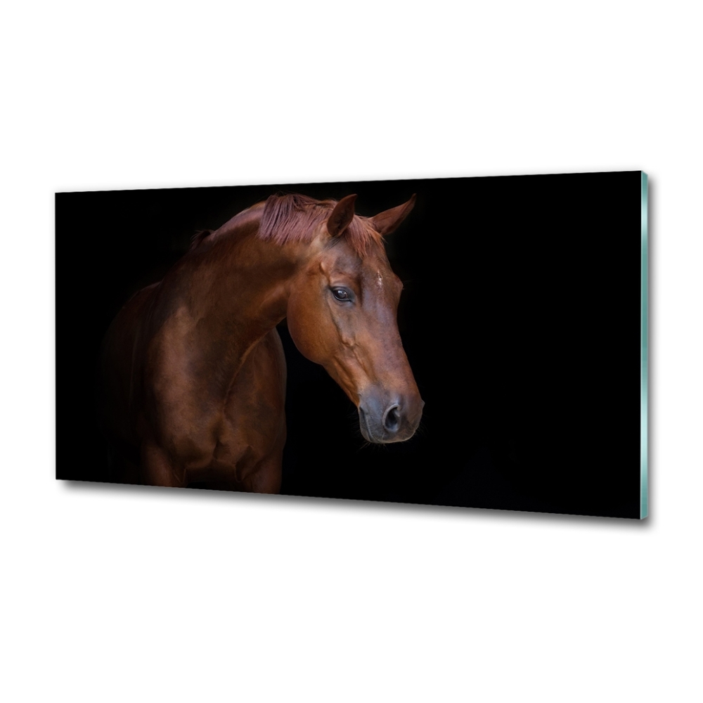 Wall art on glass Brown horse