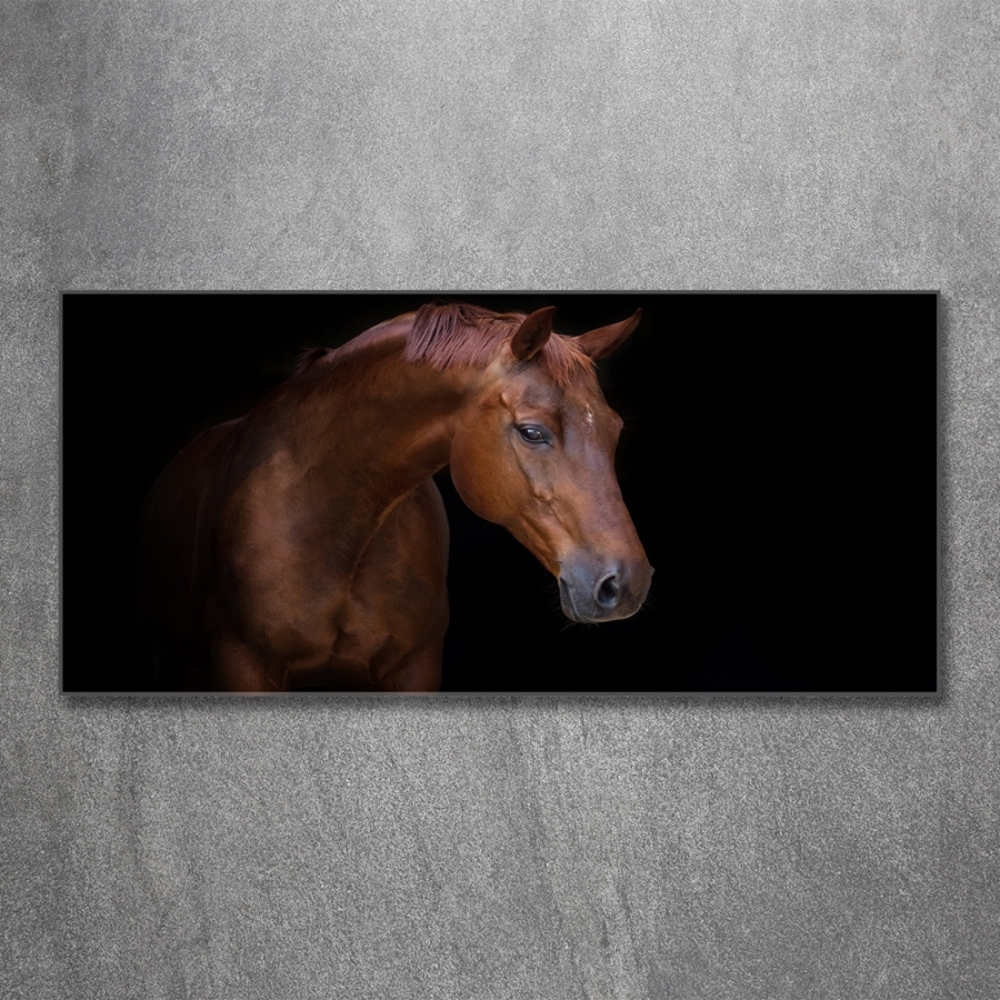 Wall art on glass Brown horse