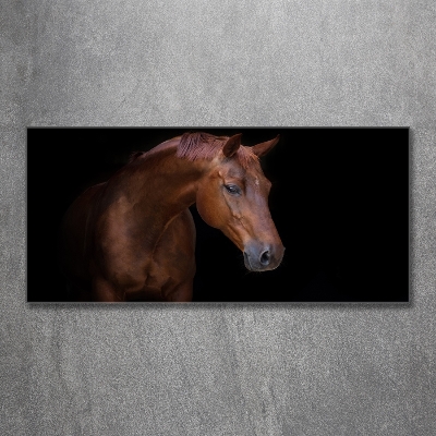 Wall art on glass Brown horse