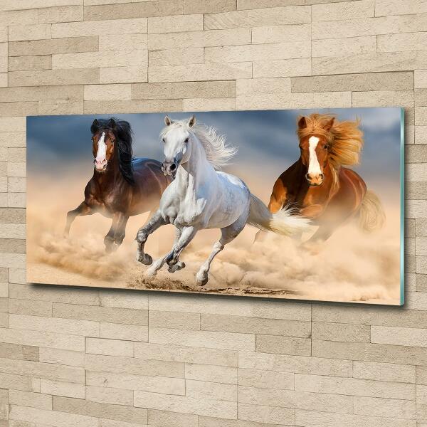 Glass wall art Horses in the desert