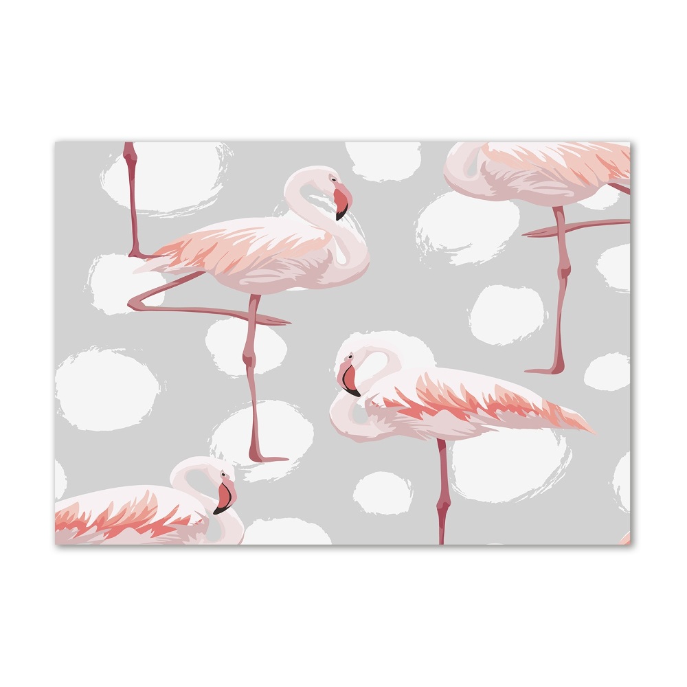 Wall art on glass Flamingos