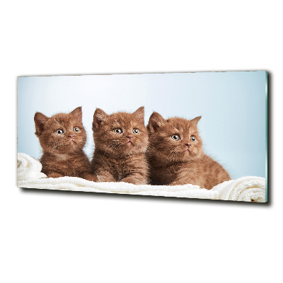 Glass art print Chatter cats