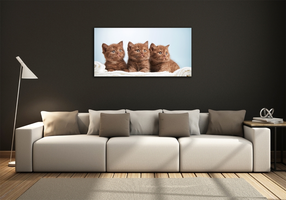 Glass art print Chatter cats