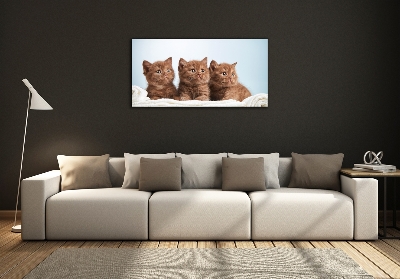 Glass art print Chatter cats