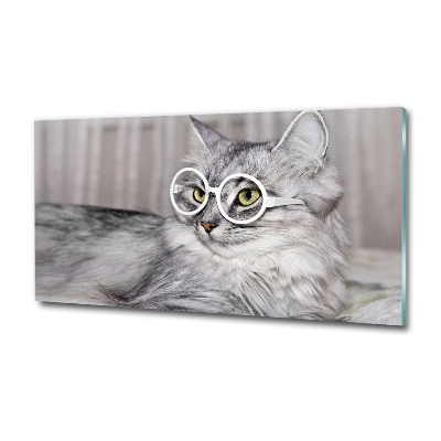 Wall art on glass Cat with glasses