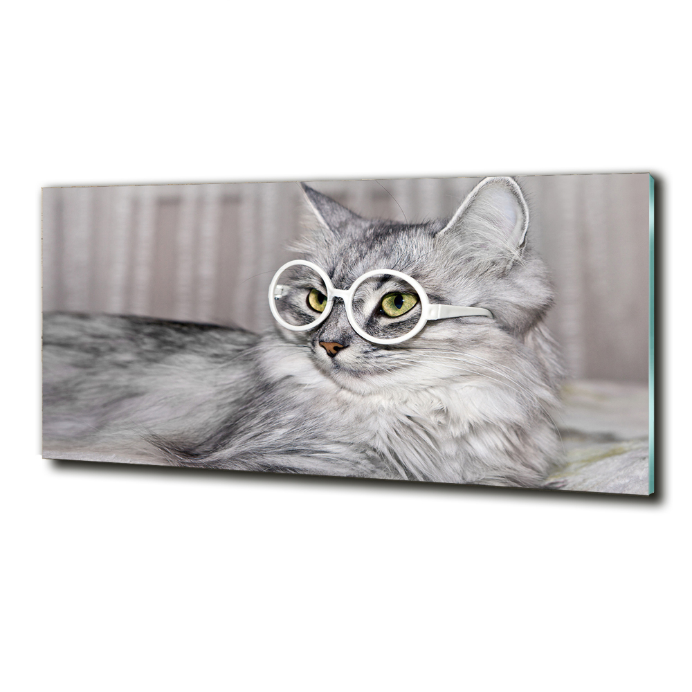 Wall art on glass Cat with glasses