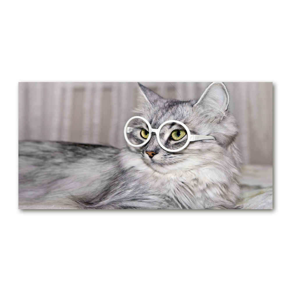 Wall art on glass Cat with glasses