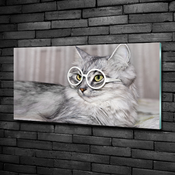 Wall art on glass Cat with glasses