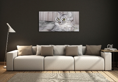 Wall art on glass Cat with glasses