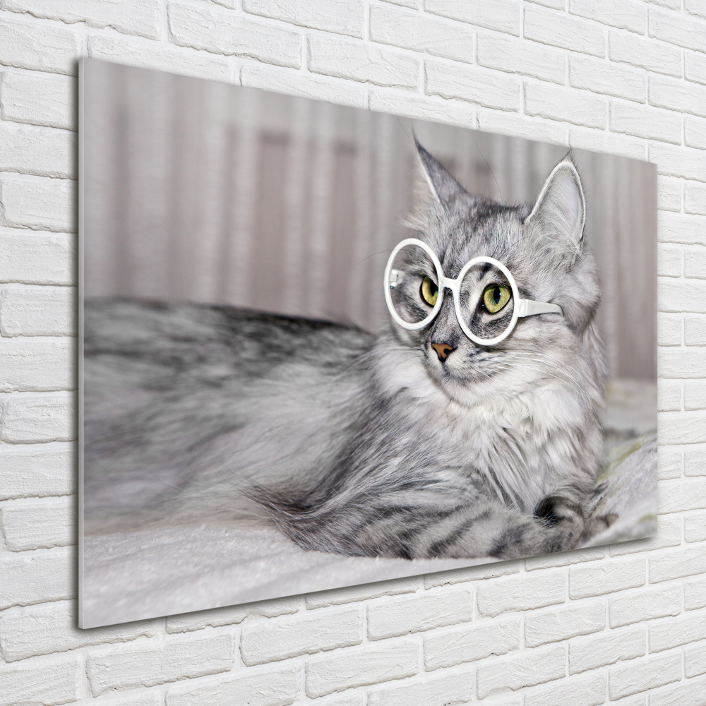 Wall art on glass Cat with glasses