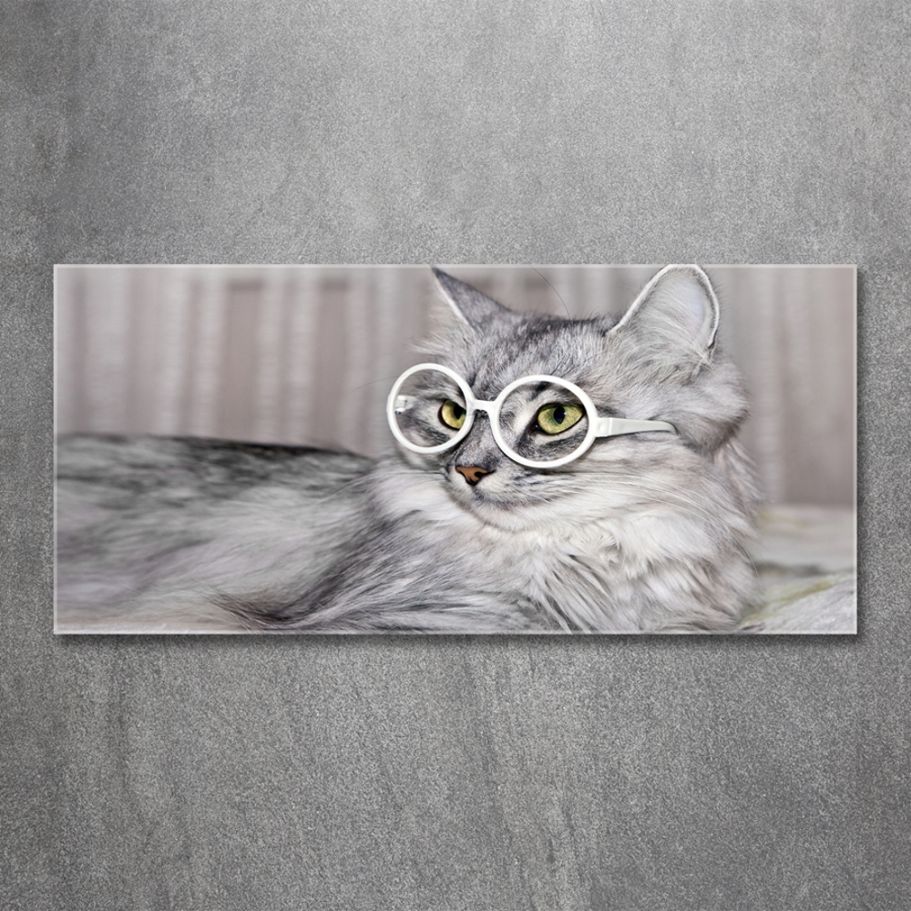 Wall art on glass Cat with glasses