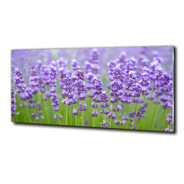 Wall art on glass Lavender